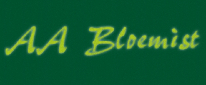 Bloemist Zwolle Bloemist Zwolle